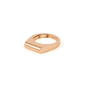 Dois Irmãos Small Signet Ring